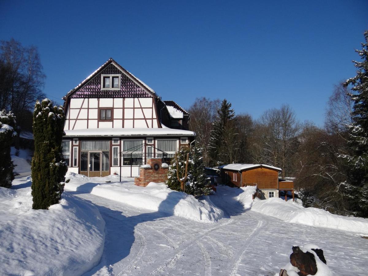 Ferienwohnung Altenbrak Haus Wilde Тале Екстер'єр фото